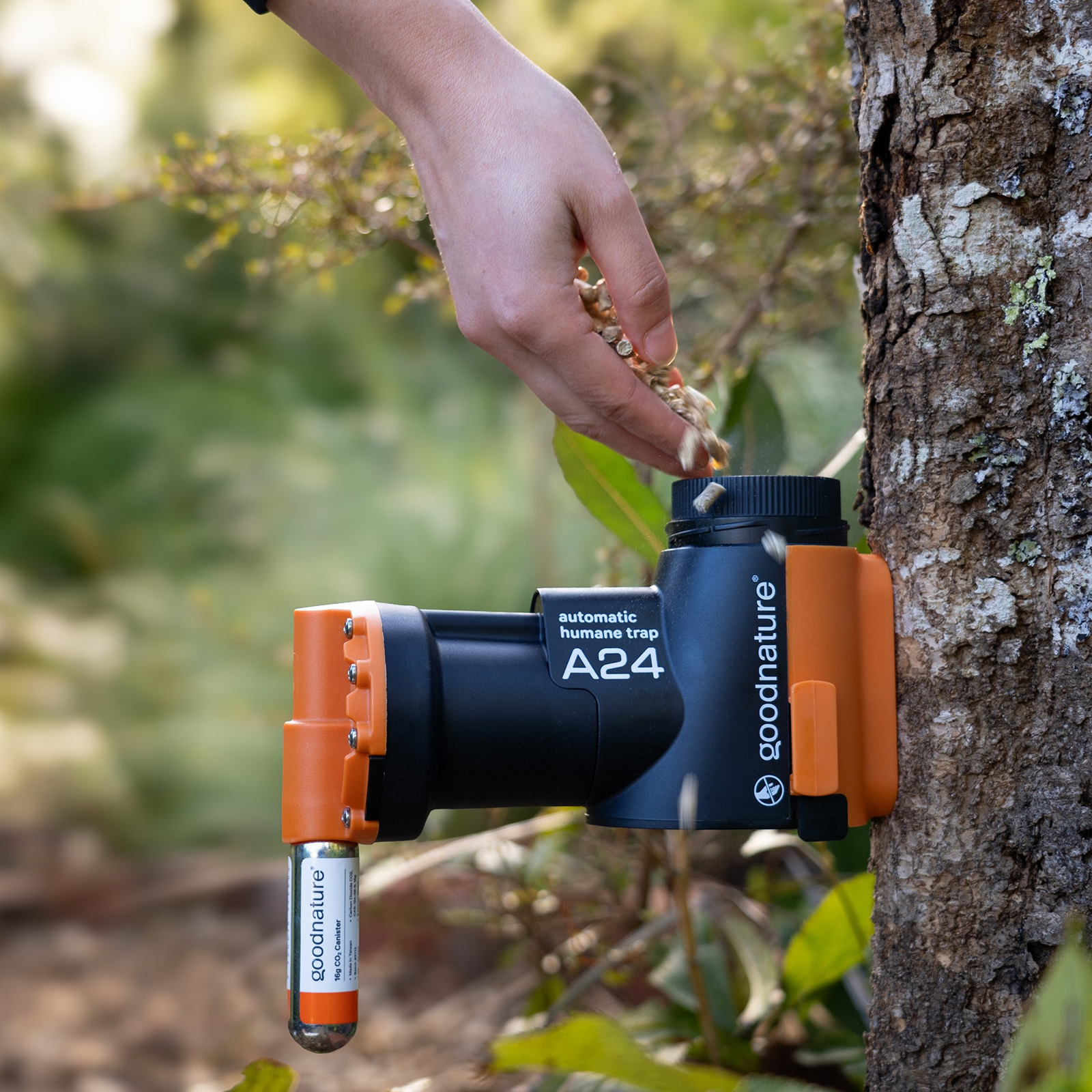 Ratten- und Mausefalle A24 Smart-Kit