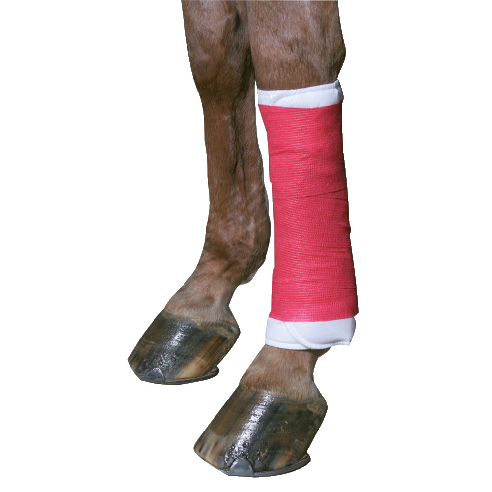 Bandage EquiLastic