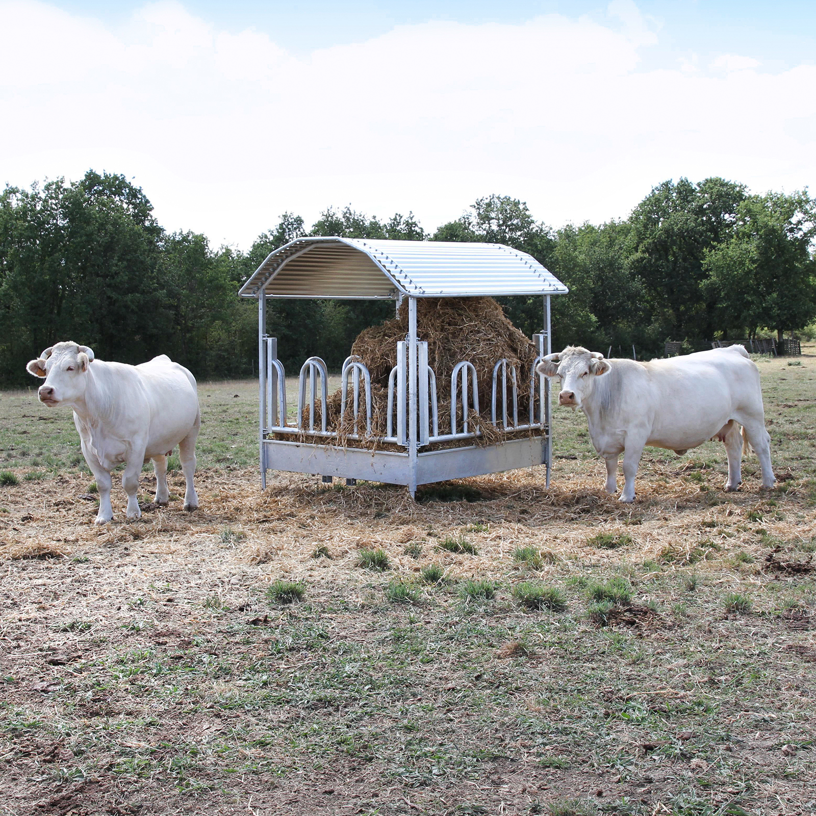 Square hay rack with palisade feeding fence