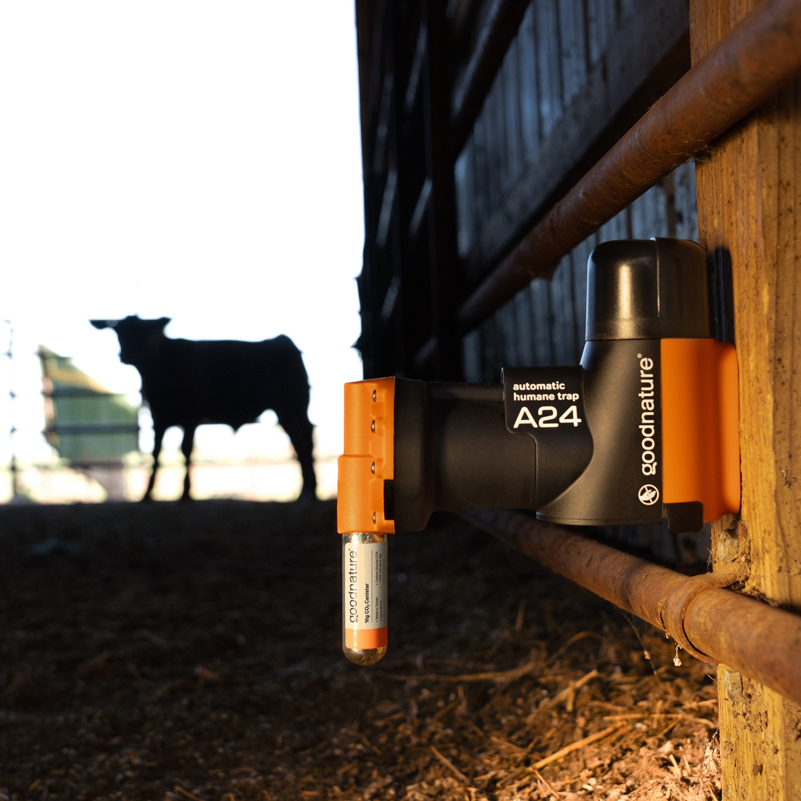 Ratten- und Mausefalle A24 Starter-Kit