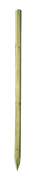 Pfhle_Holzpfahl