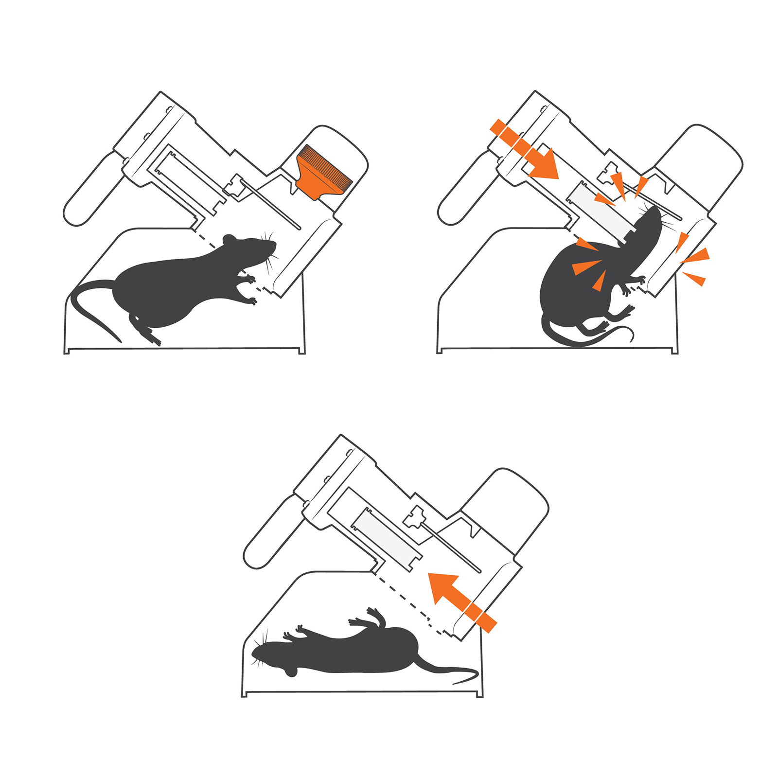 Ratten- und Mausefalle A24 Starter-Kit