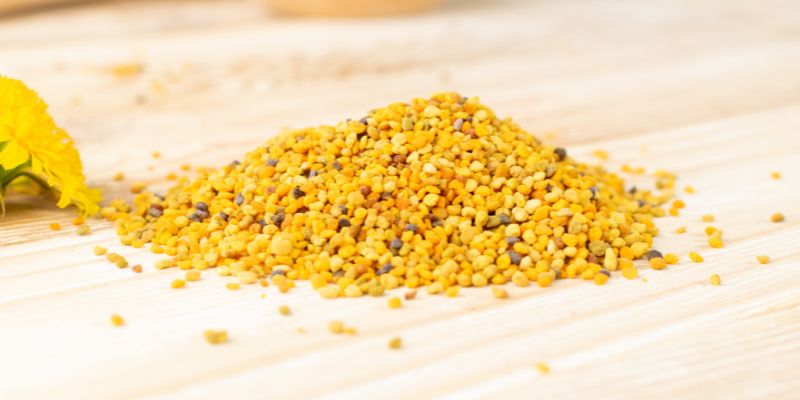 Bienenfutter