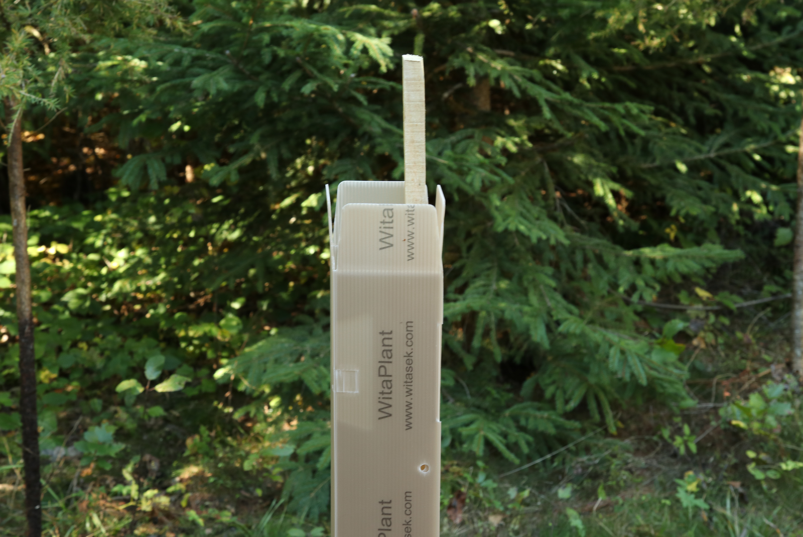 Baumschutzsäule MV Laubholz