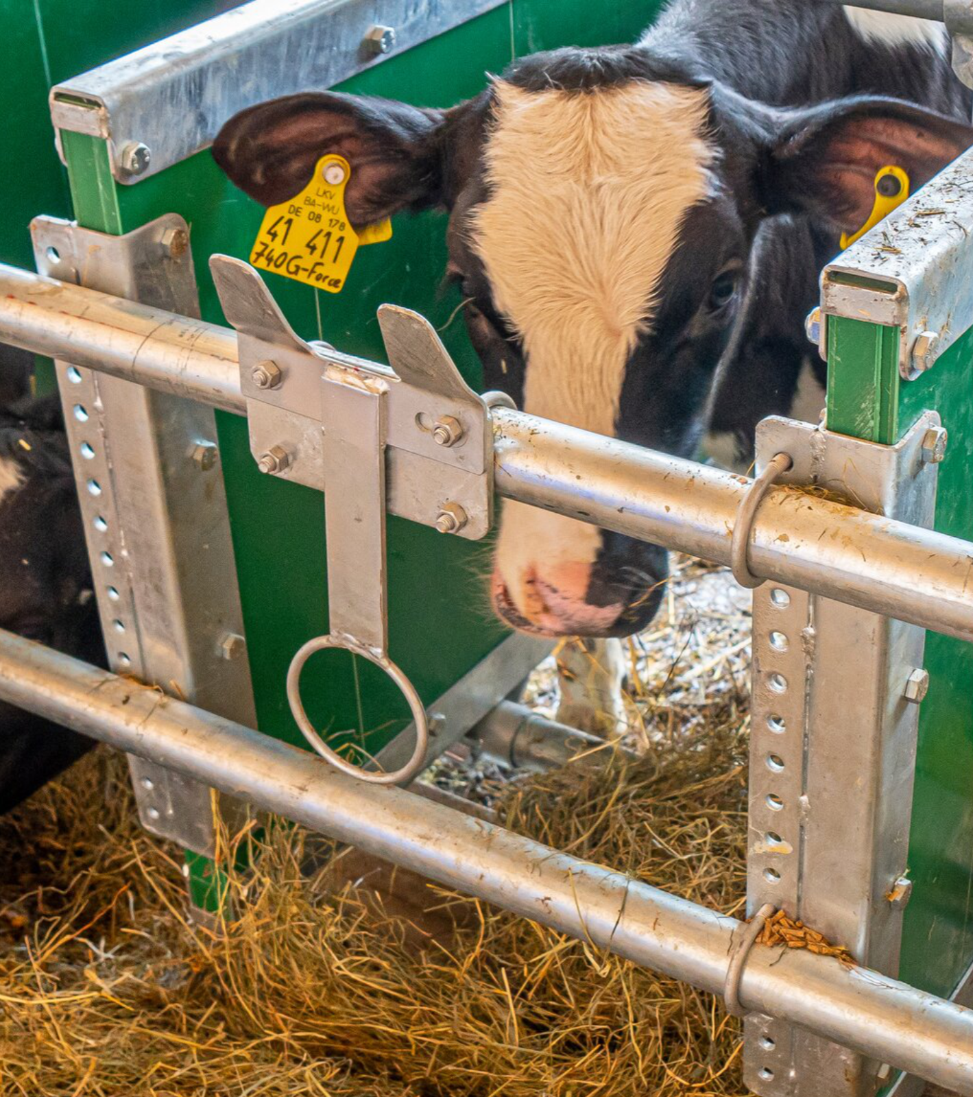 Mounting kit for calf feeding bucket holders