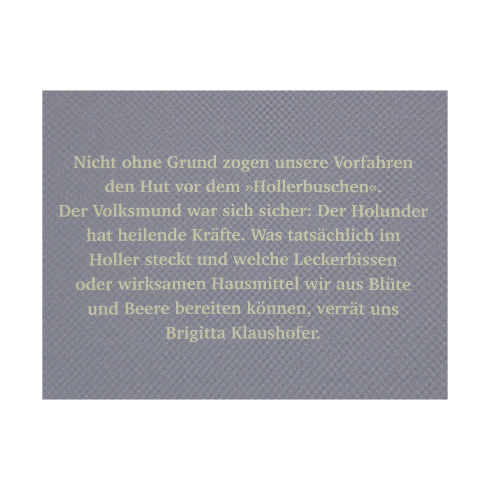 Das große kleine Buch: Holunderzeit