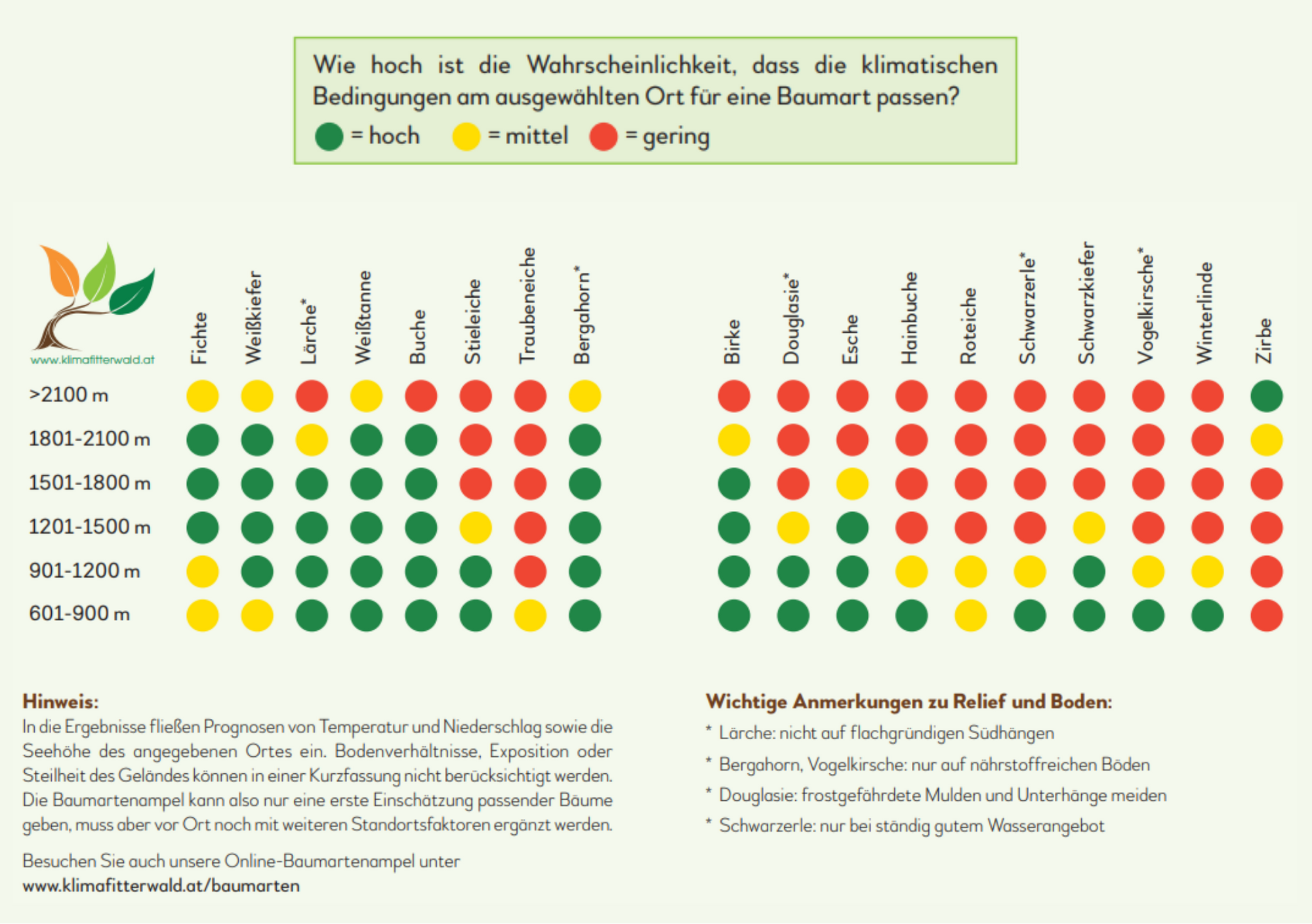 Aufzeichnung des Webinars Baumartenampel