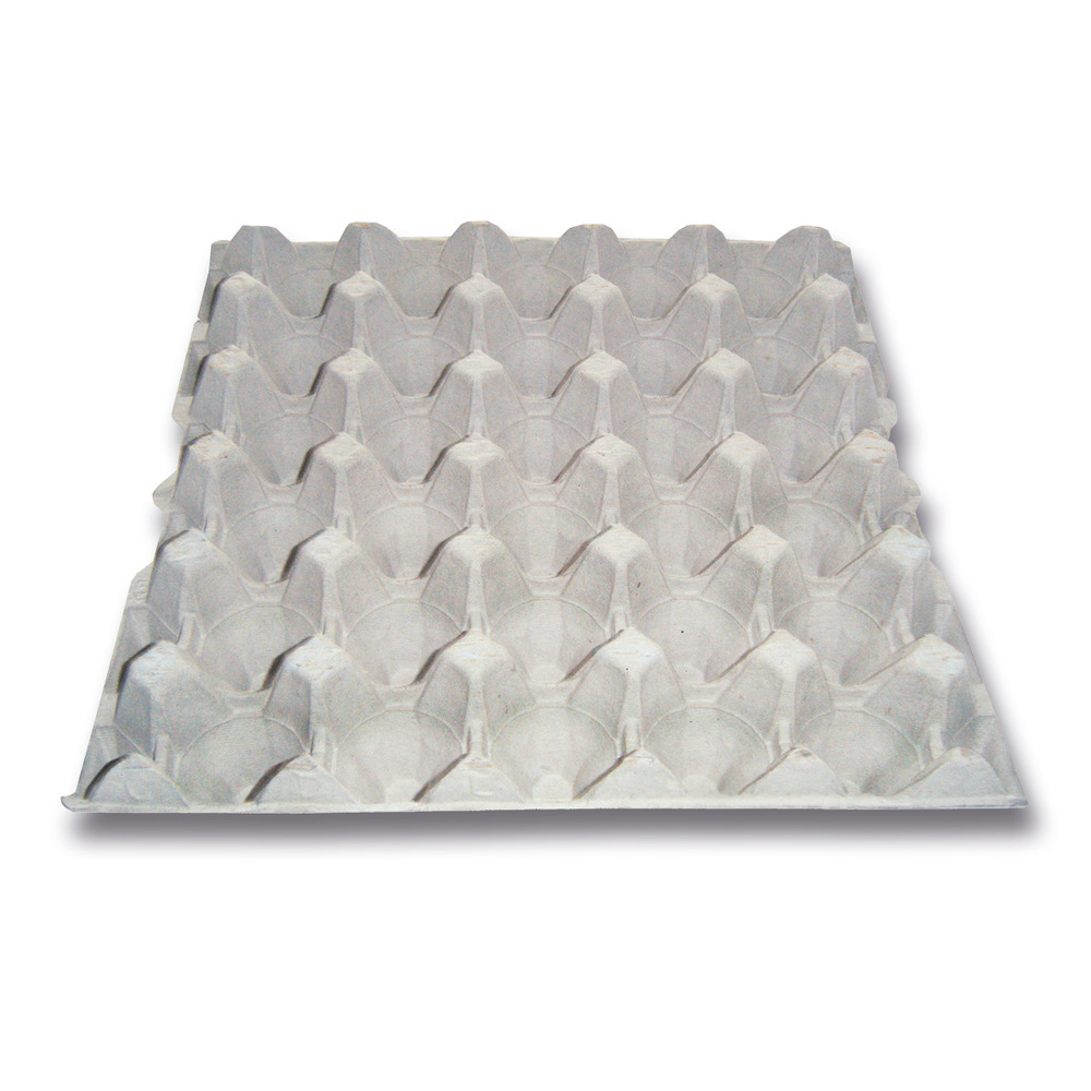 Eierlage für 30 Eier