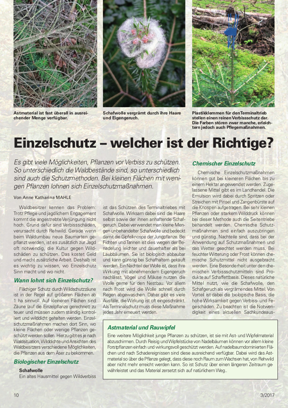 FAIE-Einzelschutz-welcher-ist-der-Richtige