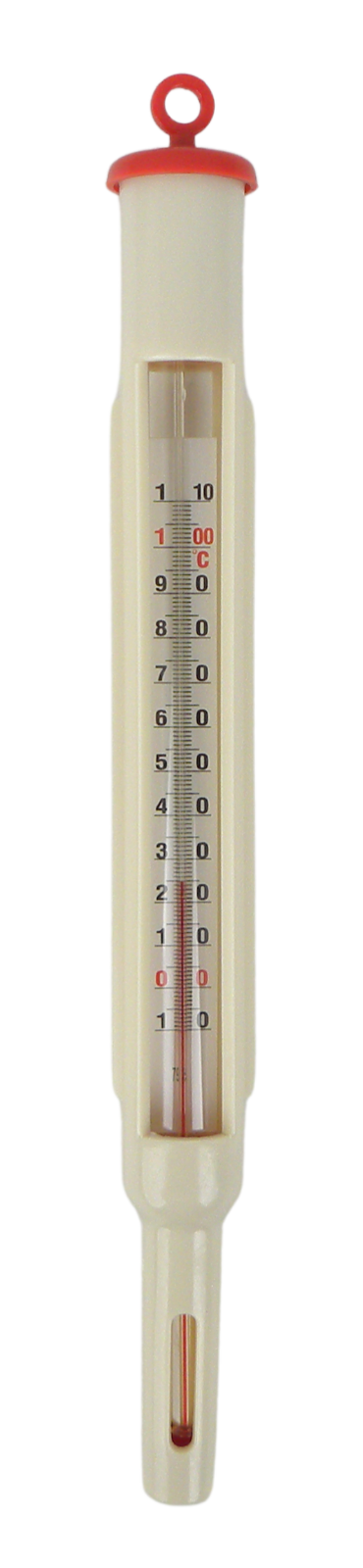 Thermometer in a plastic housing
