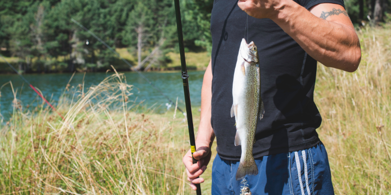 Ratgeber_Fisch richtig aufbewahren