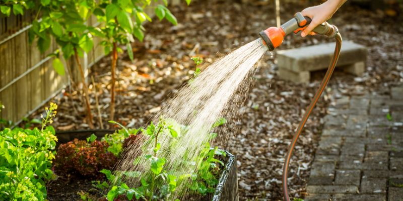 Bewsserung im Garten