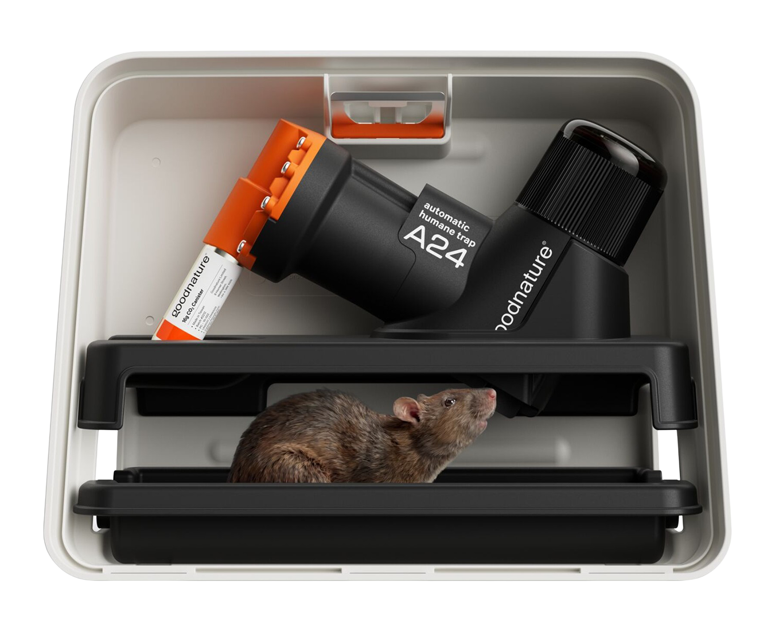 Ratten- und Mausefalle A24 Profi-Set