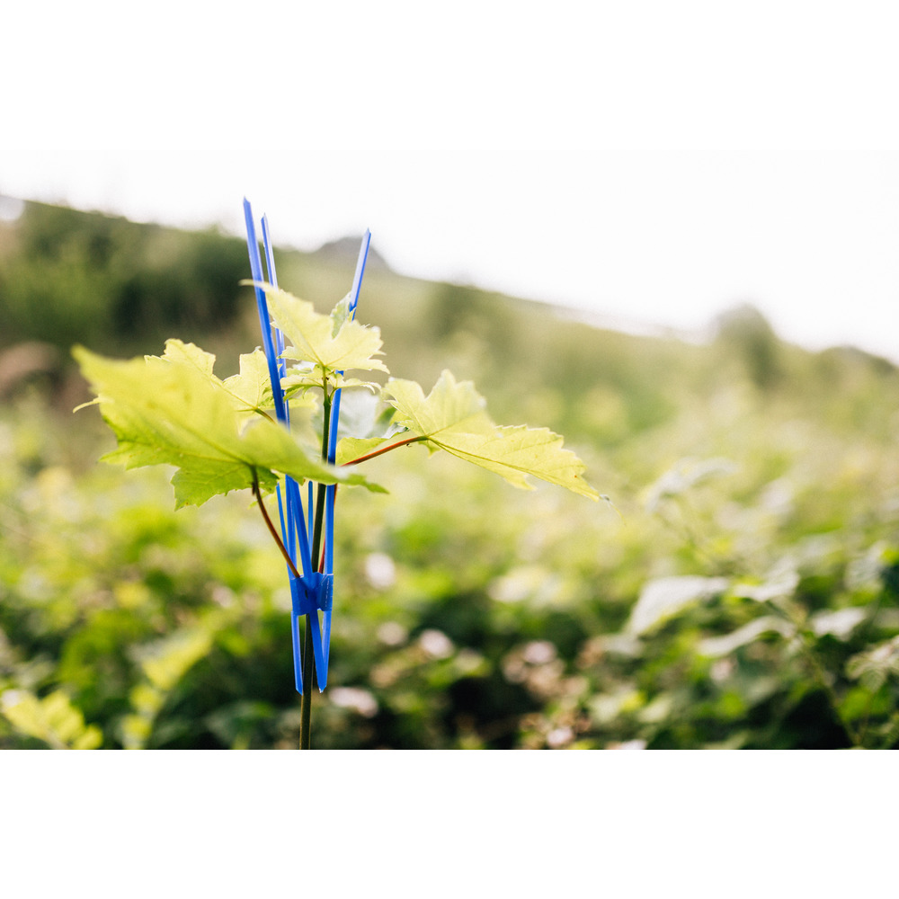 Verbiss Schutzmanschette lang blau
