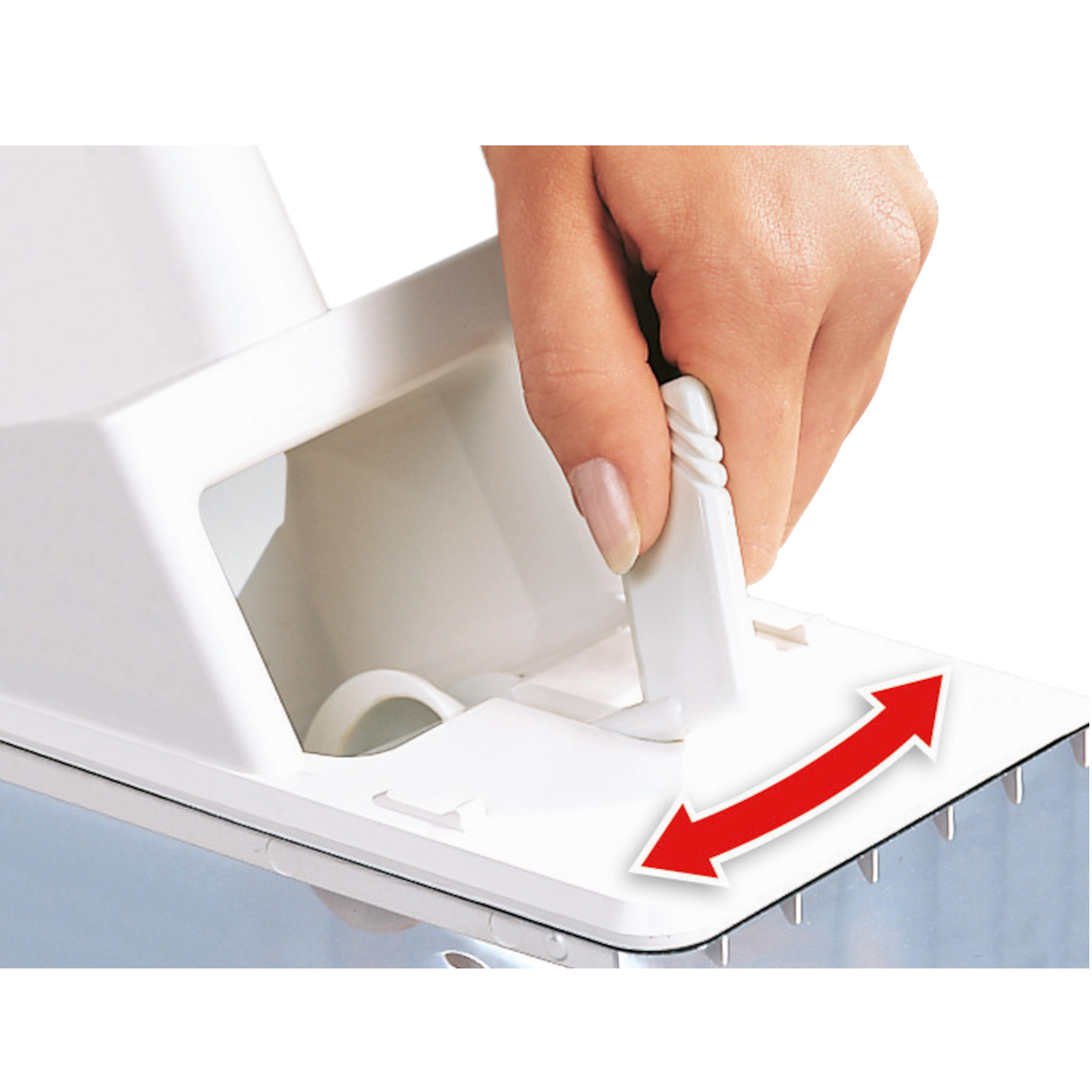 Zwetschken / Pflaumenentsteiner / Kriecherlentsteiner