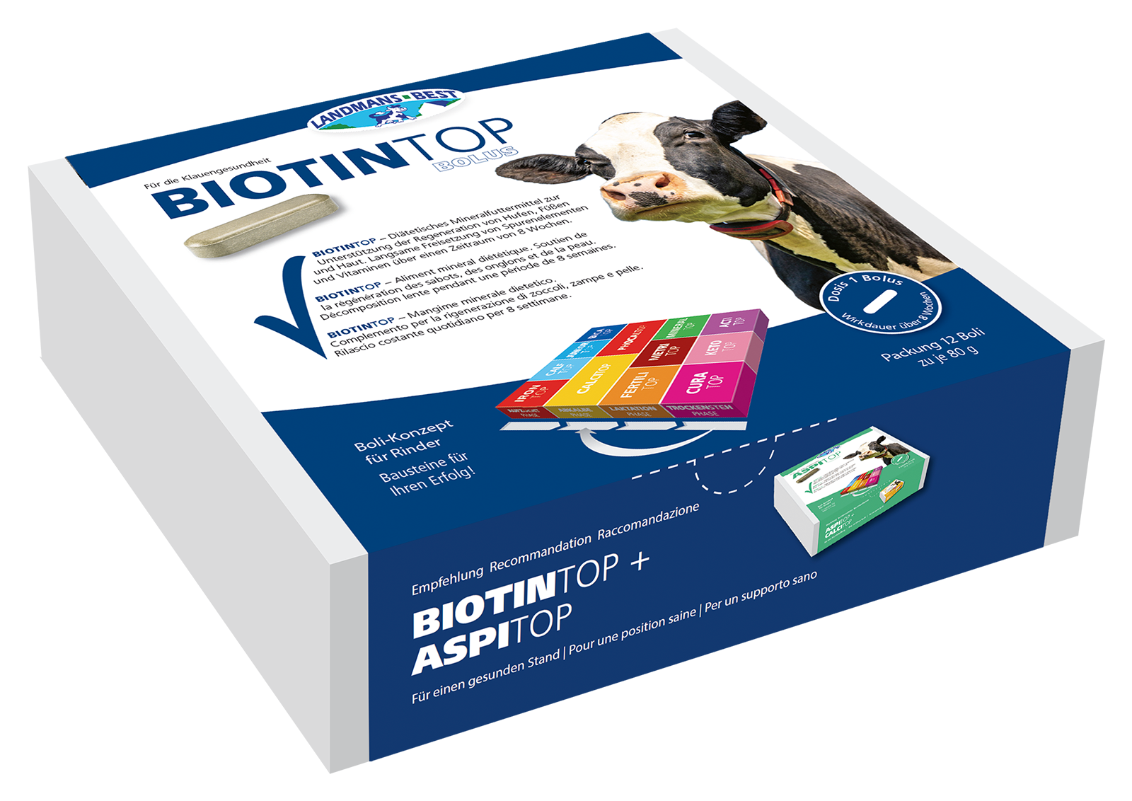 Bolus Biotintop - Boîte de 12