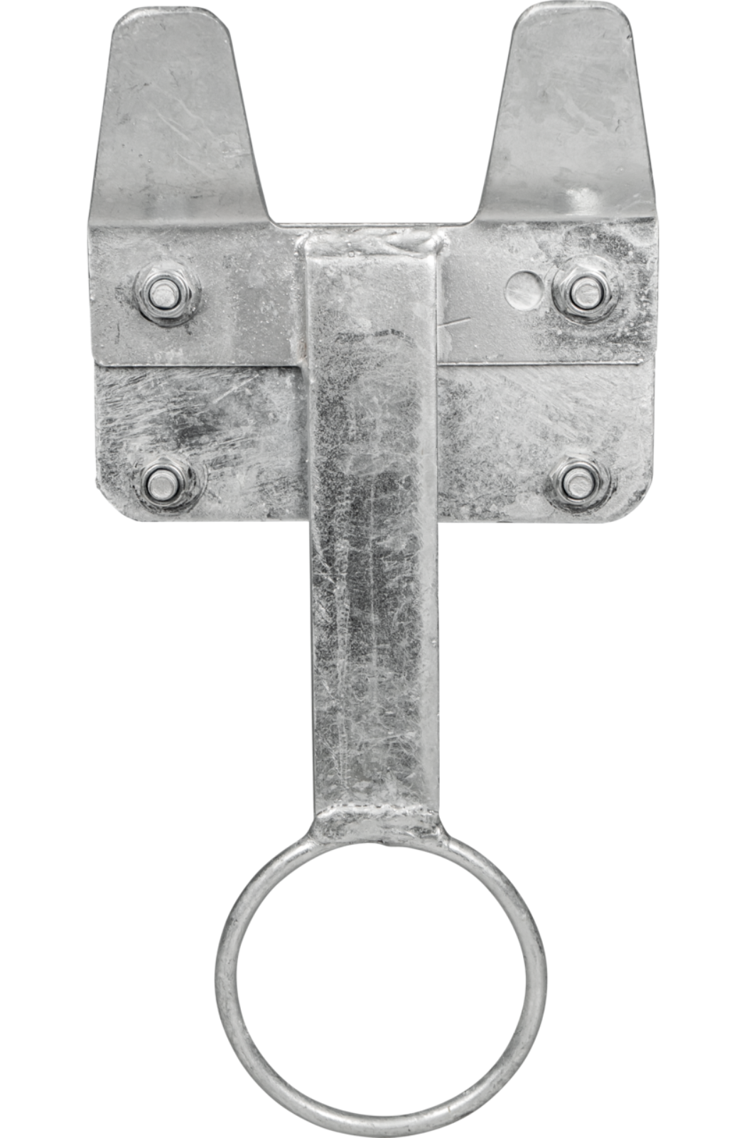 Calf feeding bucket holder with ring